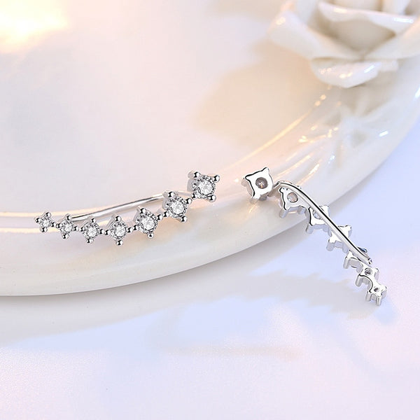 Women's  Fashion  Earrings